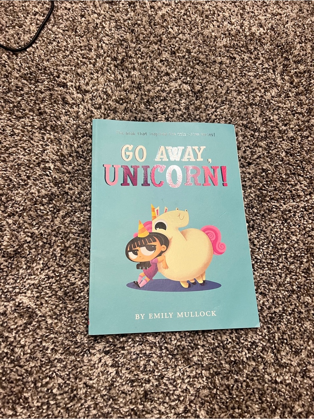 Scholastic Teal Kids Book with Pink Accent - Go Away, Unicorn!